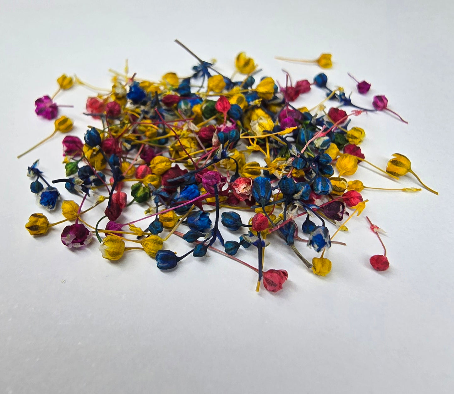 Tiny gypsophila buds