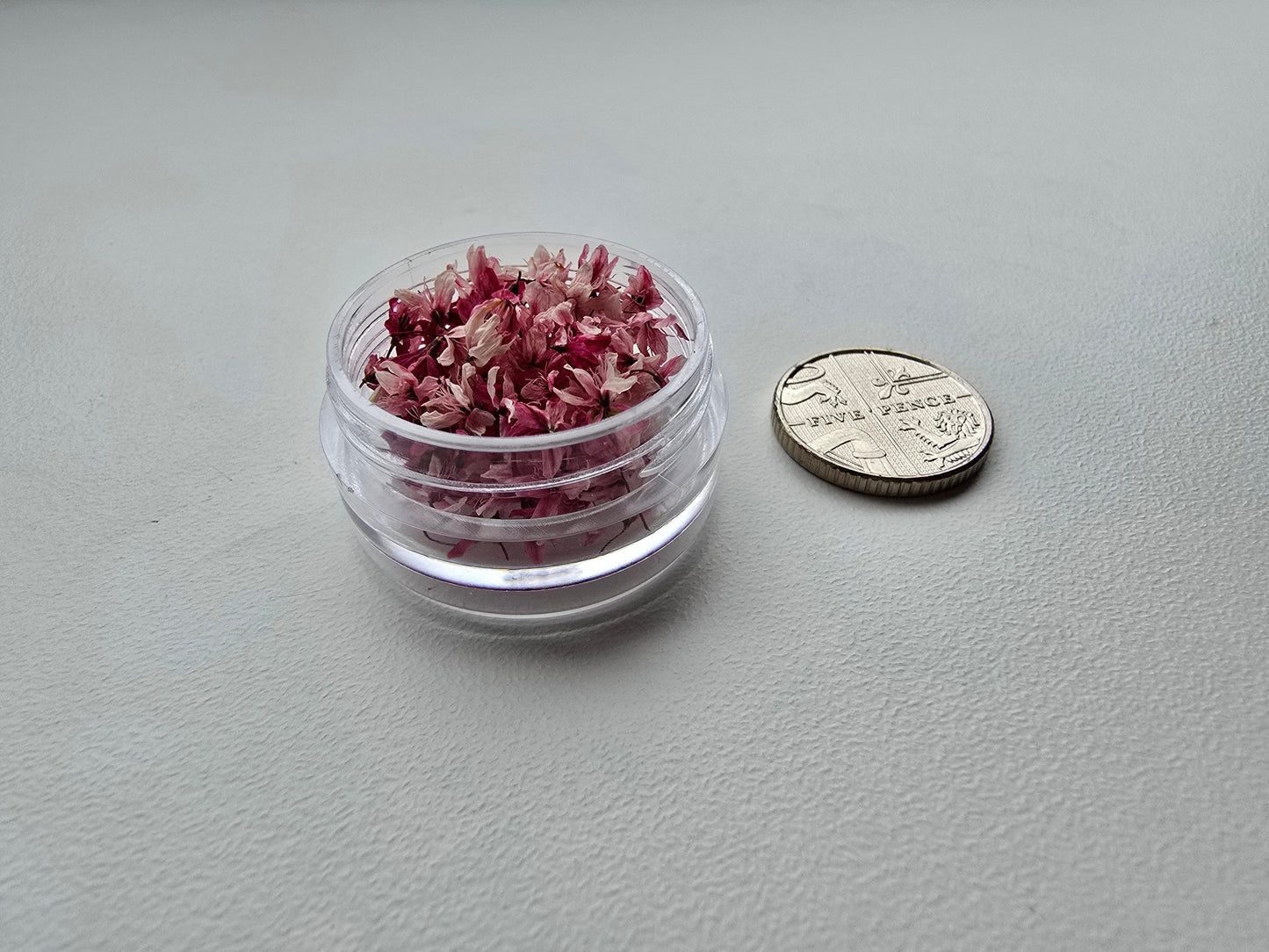 Windswept japanese blossoms