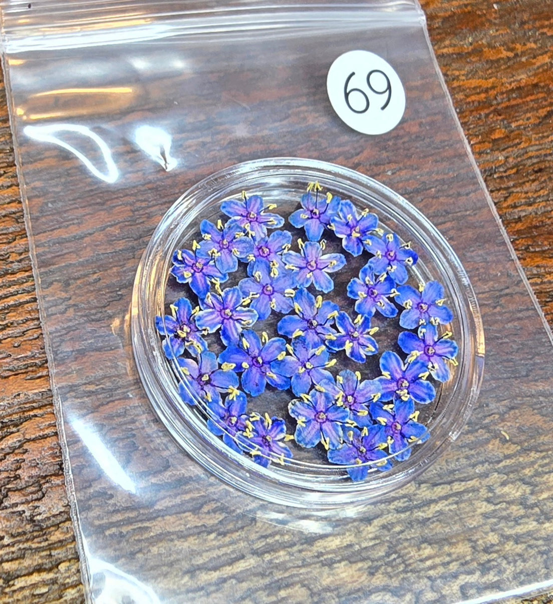 SPECIAL 3D elderflowers