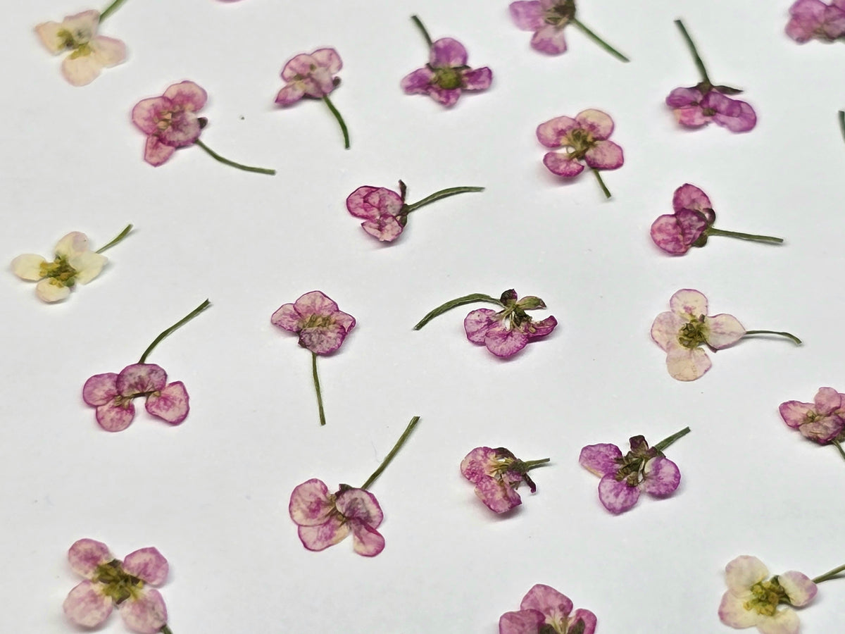 Sweet pea mix