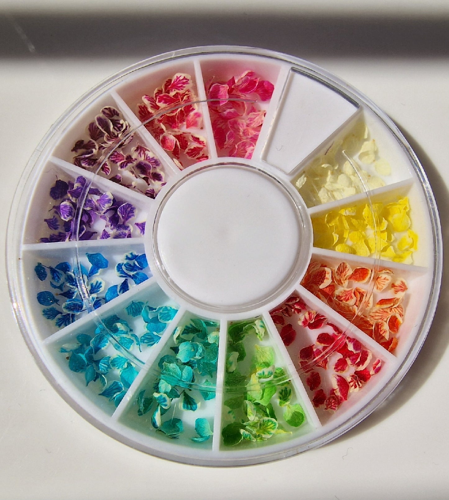 Wheel of colour