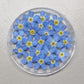 "MIXED SIZE" 3d forget me nots LIGHT BLUE