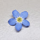 "MIXED SIZE" 3d forget me nots LIGHT BLUE