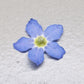 "MIXED SIZE" 3d forget me nots LIGHT BLUE