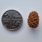 Baby pine cones