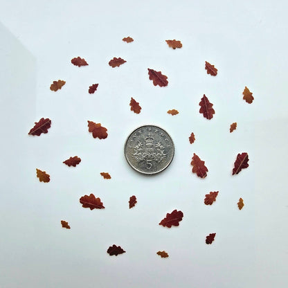 Tiny oak leaves