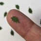 Tiny holly leaves