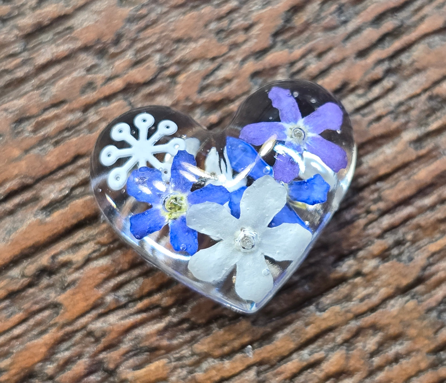 Forget me nots TRICOLORE