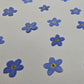 Pressed Forget-me-nots
