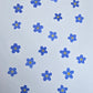 Pressed Forget-me-nots
