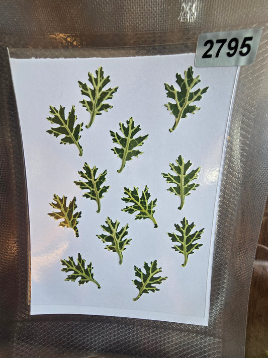 2795