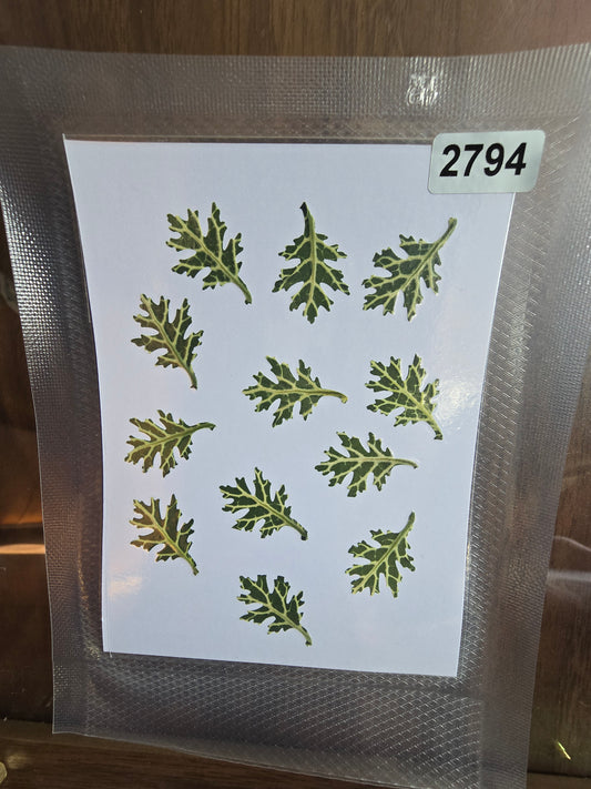 2794