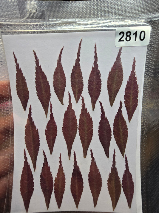 2810