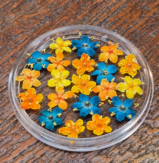 Dyed 3d Elderflower