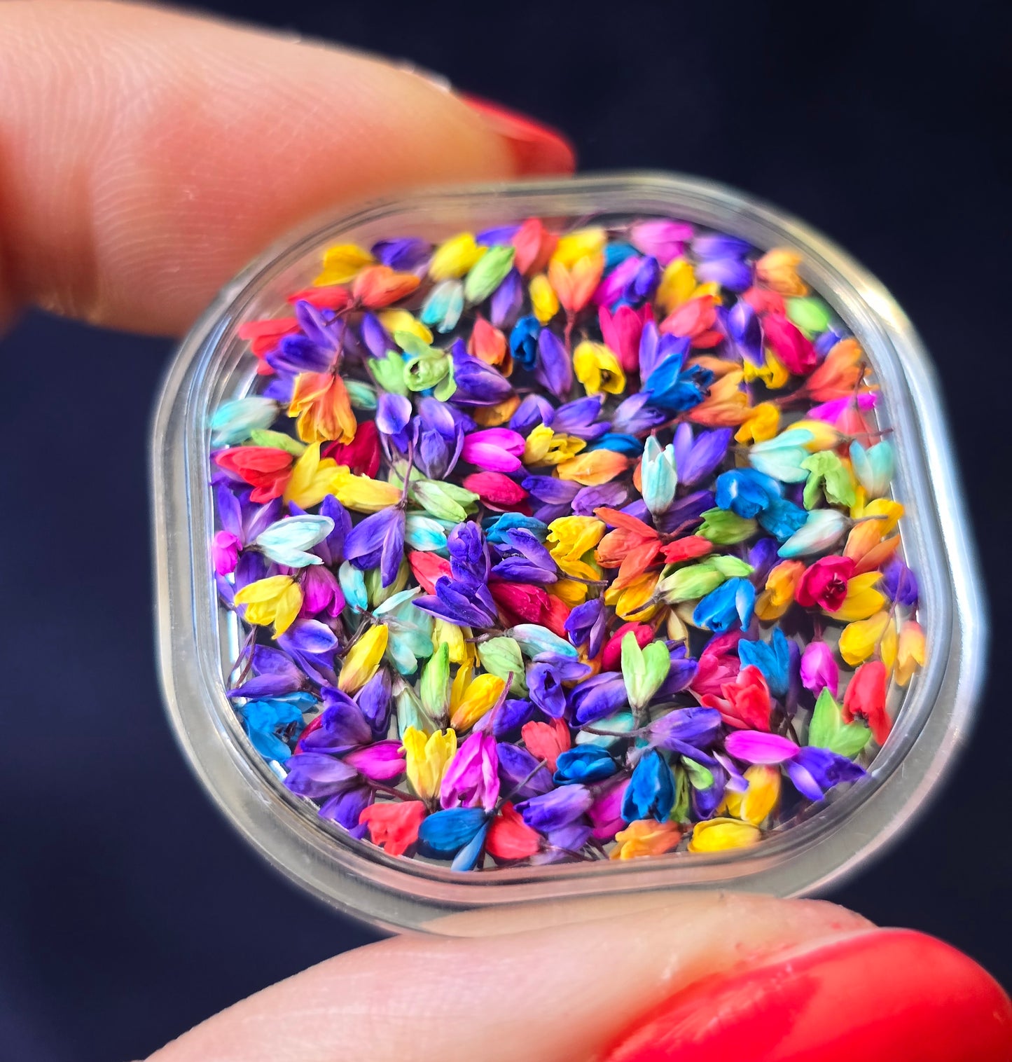 3d Dyed Japanese buds
