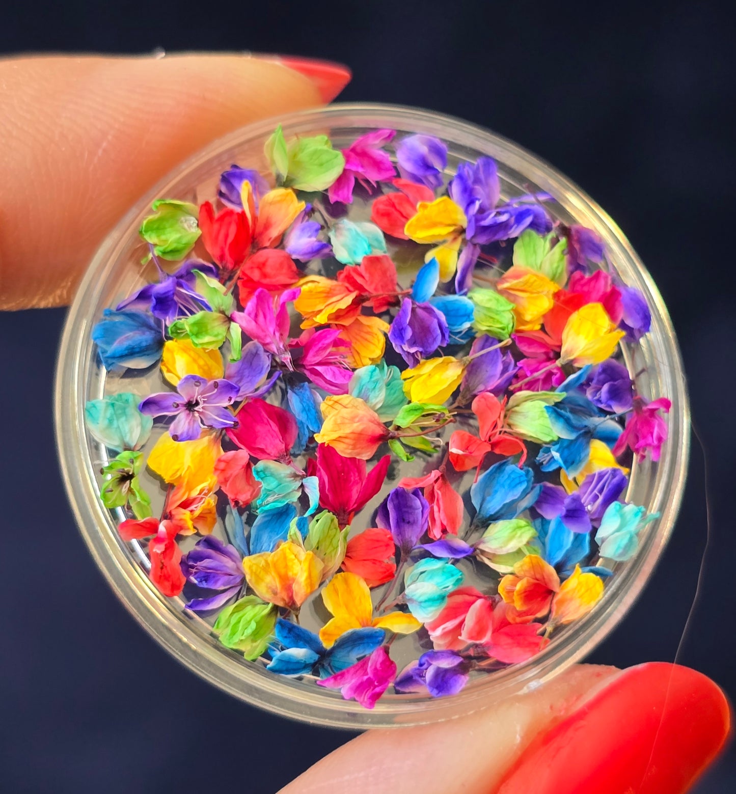 Dyed 3d Japanese blossoms