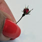Tiny rose buds
