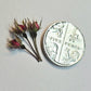Tiny rose buds
