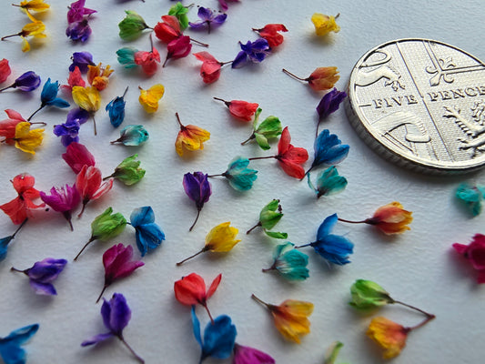 Dyed 3d Japanese blossoms