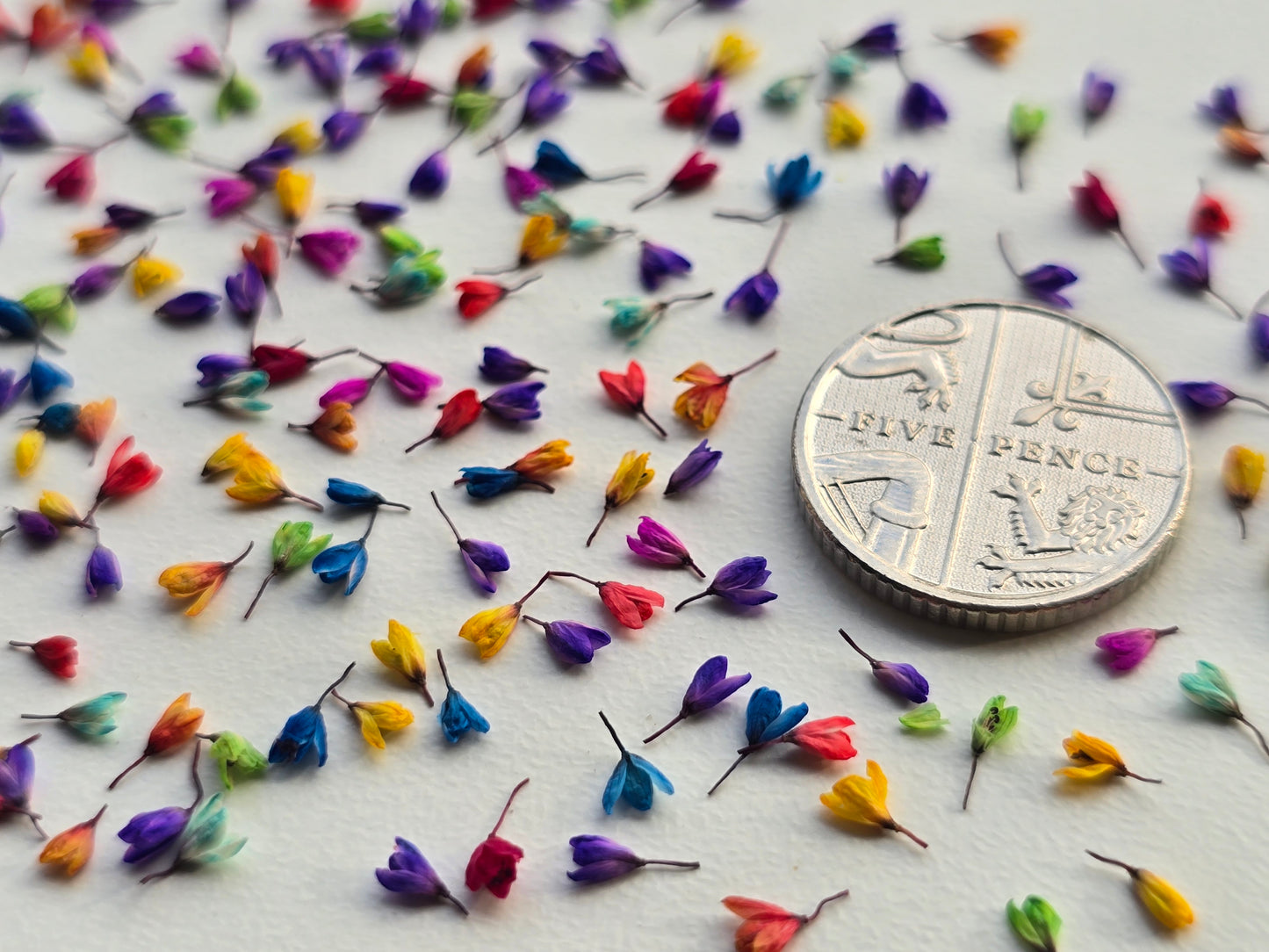 3d Dyed Japanese buds