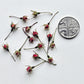 Tiny rose buds