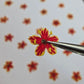 Tiny pressed elderflower