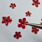 Tiny pressed elderflower