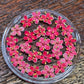 Dyed 3d Elderflower
