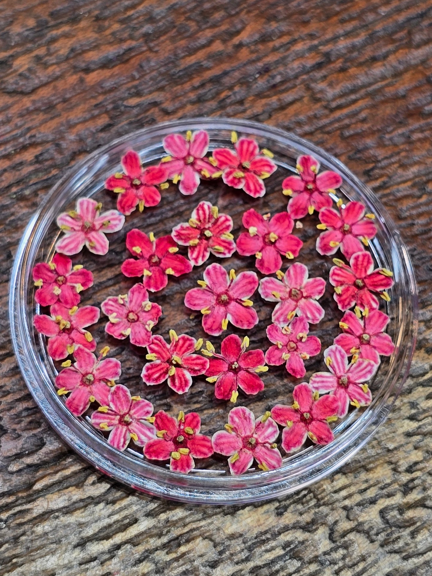 Dyed 3d Elderflower