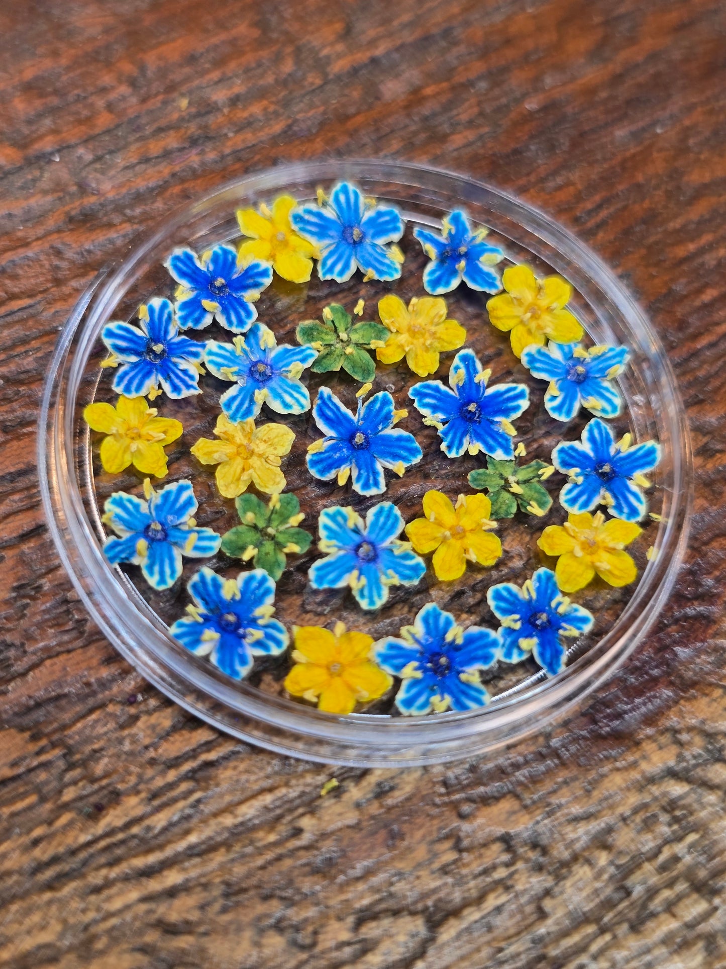 Dyed 3d Elderflower