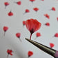 Dyed pressed Japanese blossoms