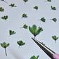 Dyed pressed Japanese blossoms