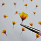 Dyed pressed Japanese blossoms