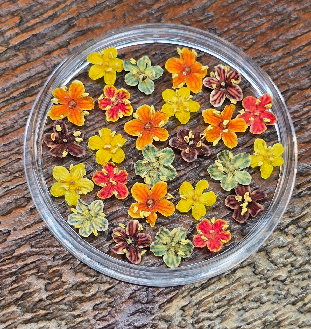 Dyed 3d Elderflower