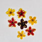 Tiny pressed elderflower