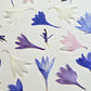 Cornflower petals