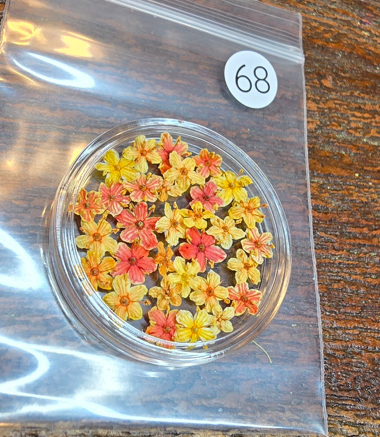 SPECIAL 3D elderflowers