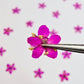 Tiny pressed elderflower