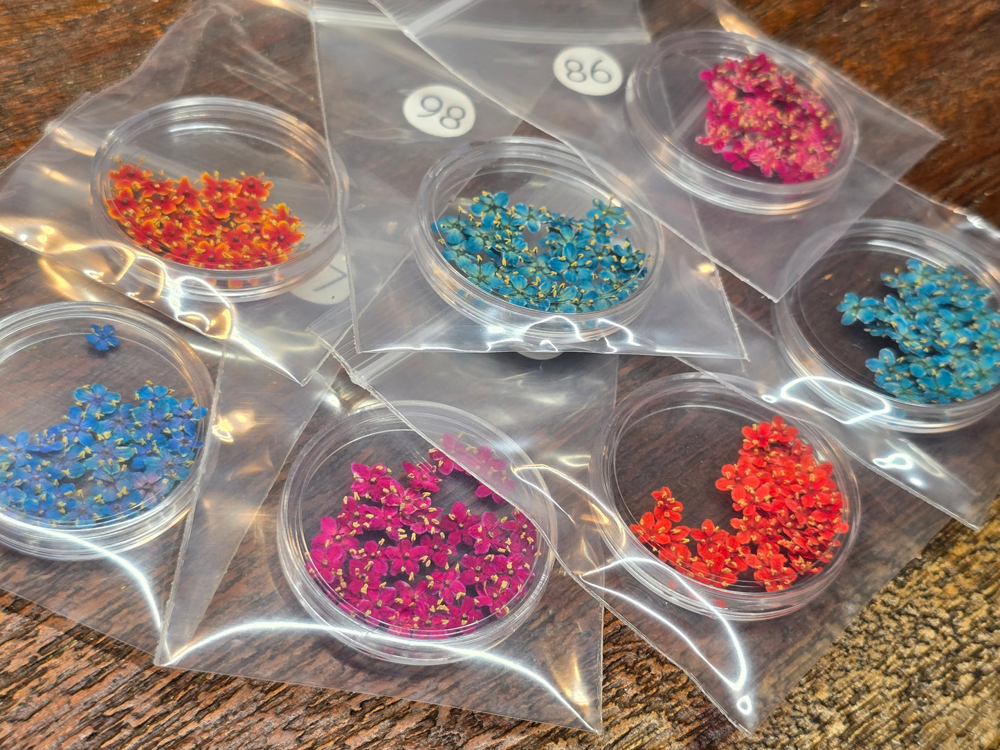 SPECIAL 3D elderflowers