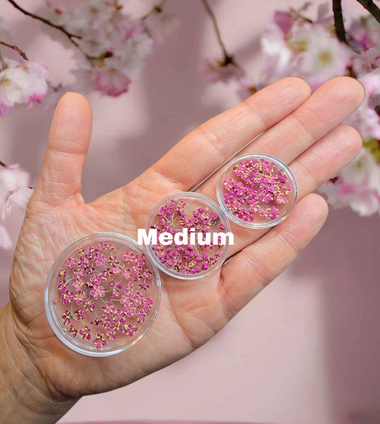 Medium flower pots