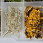 Lichen texture box