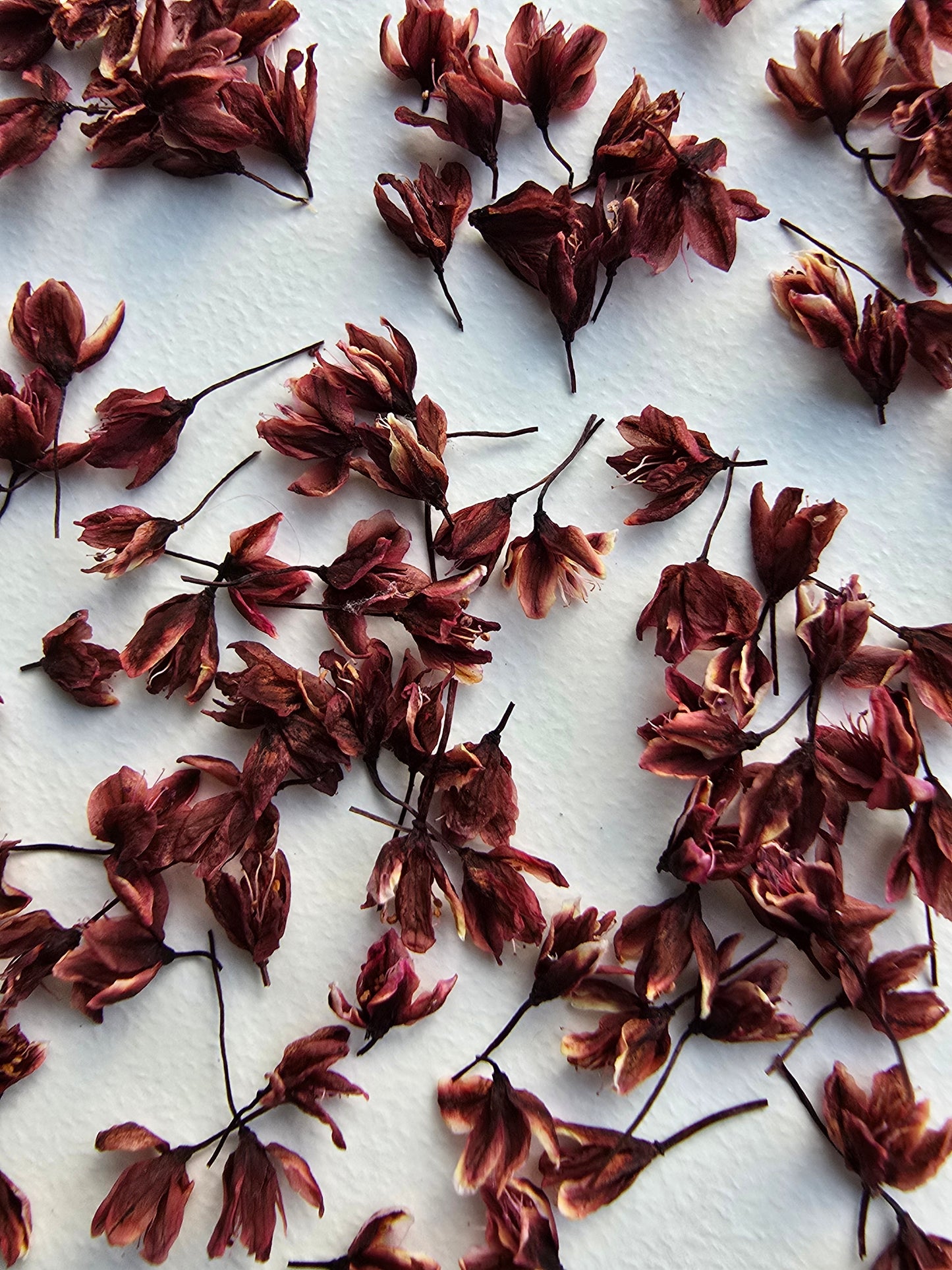 Dyed 3d Japanese blossoms