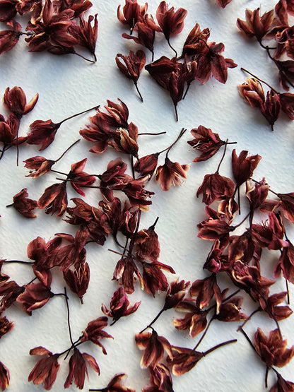 Dyed 3d Japanese blossoms