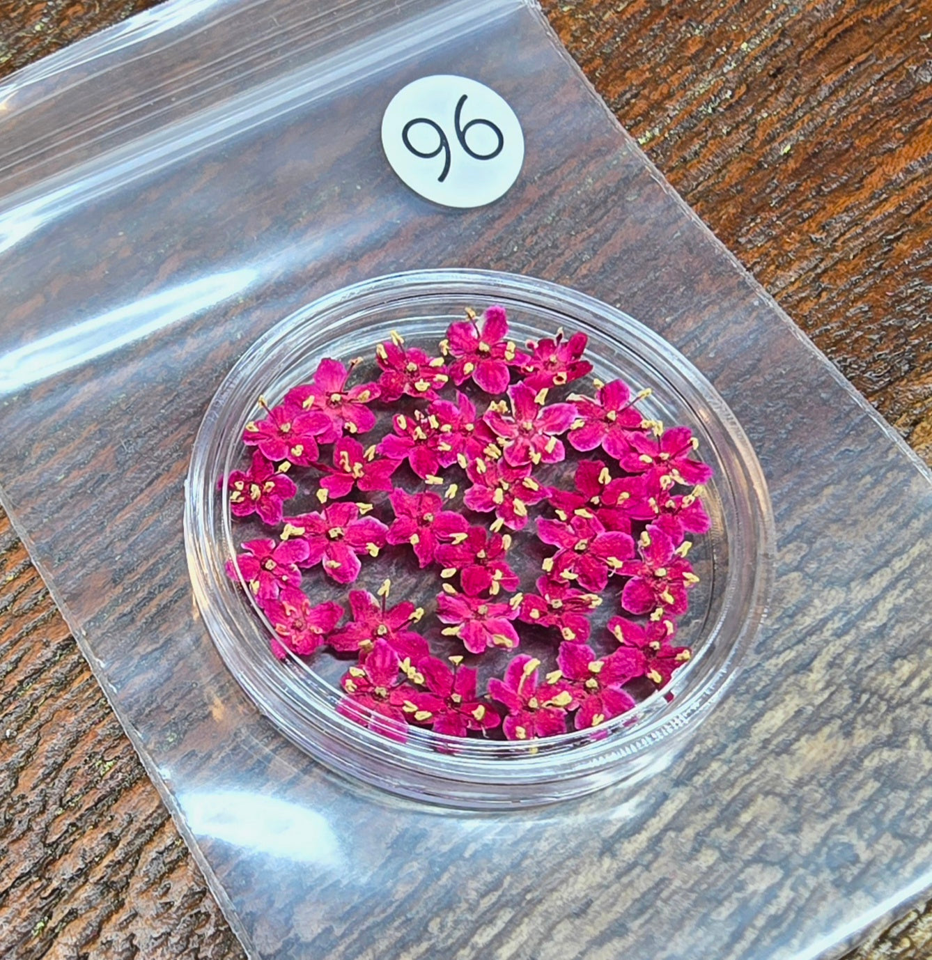 SPECIAL 3D elderflowers