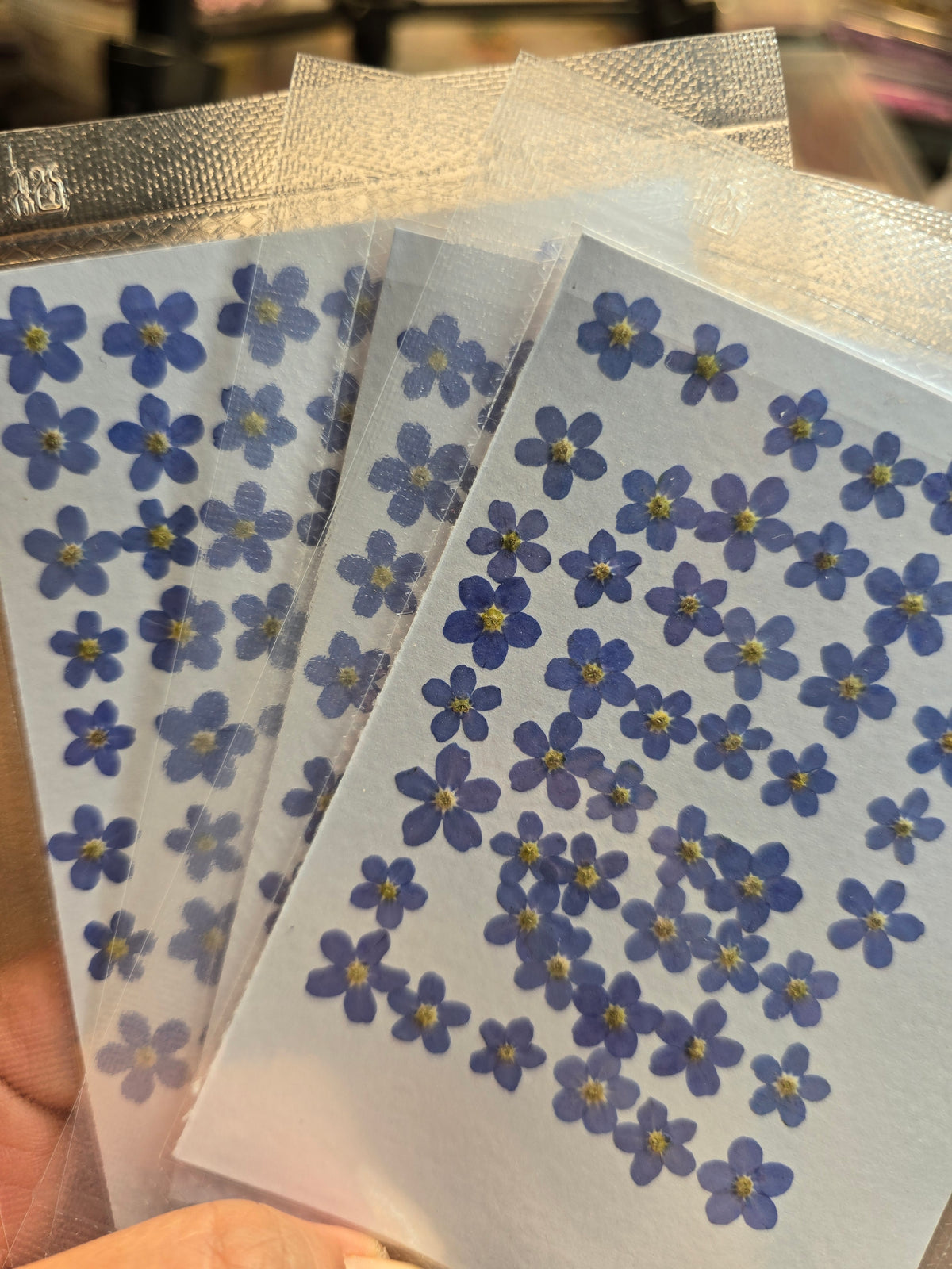 B grade pressed forget me nots
