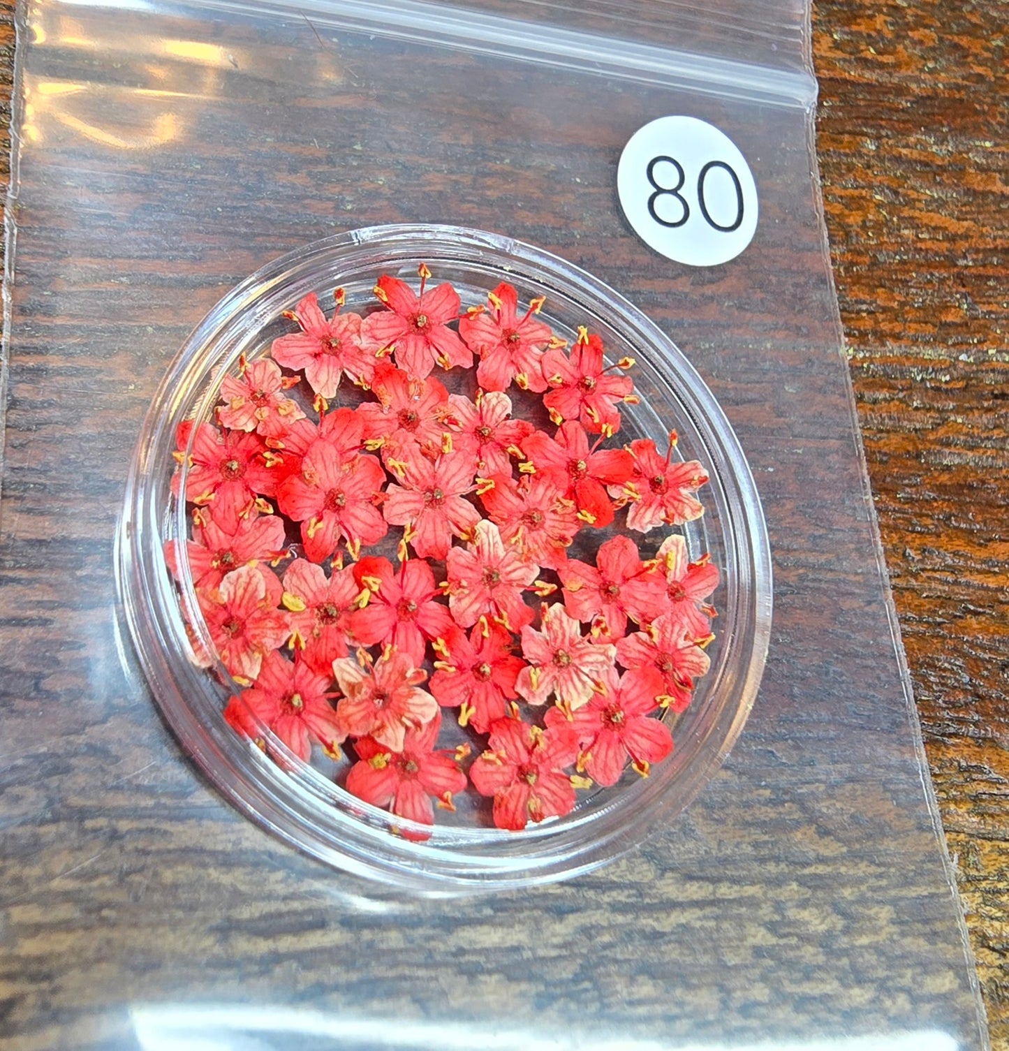 SPECIAL 3D elderflowers