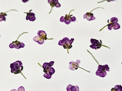 Sweet pea mix