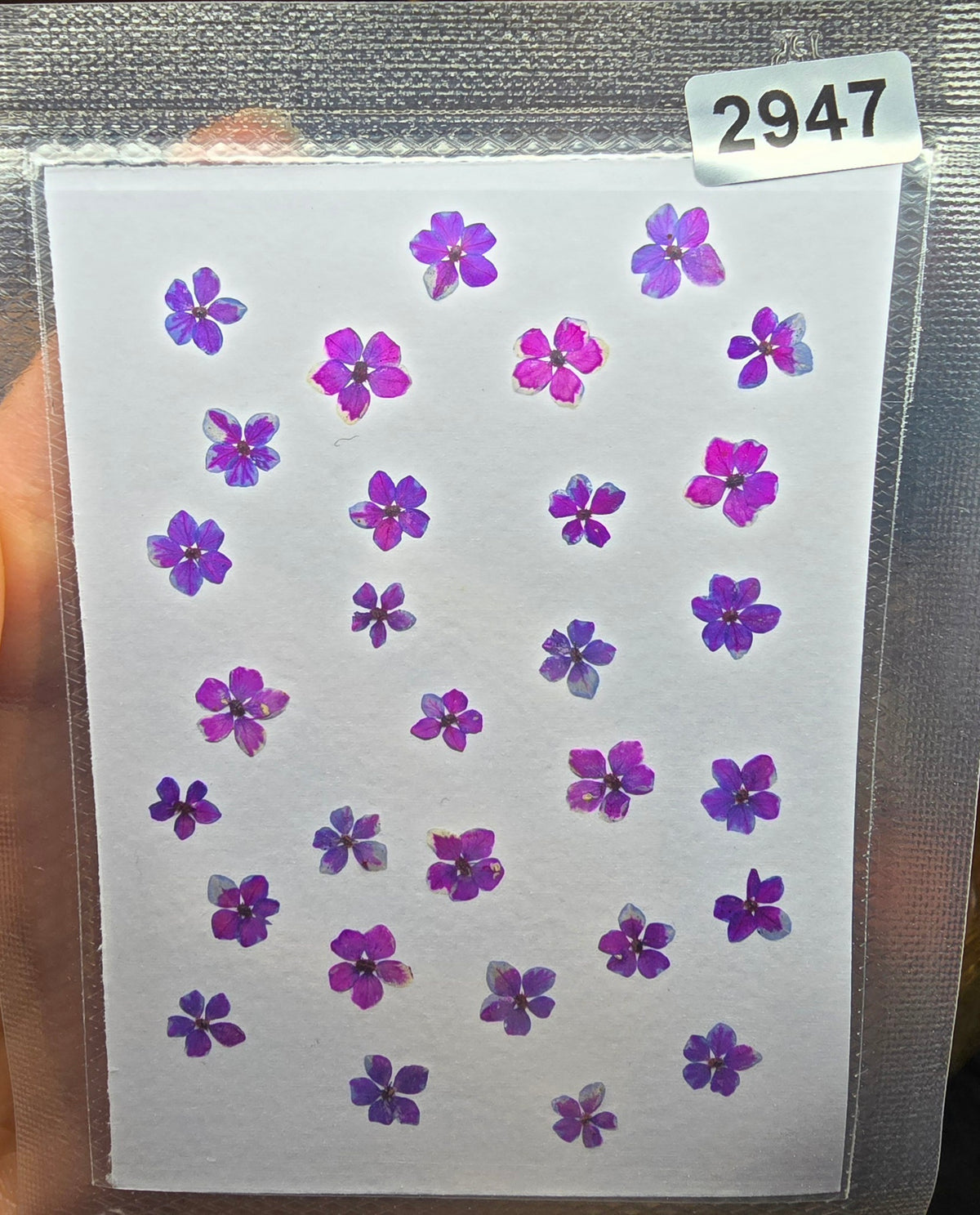 One off flower mixes