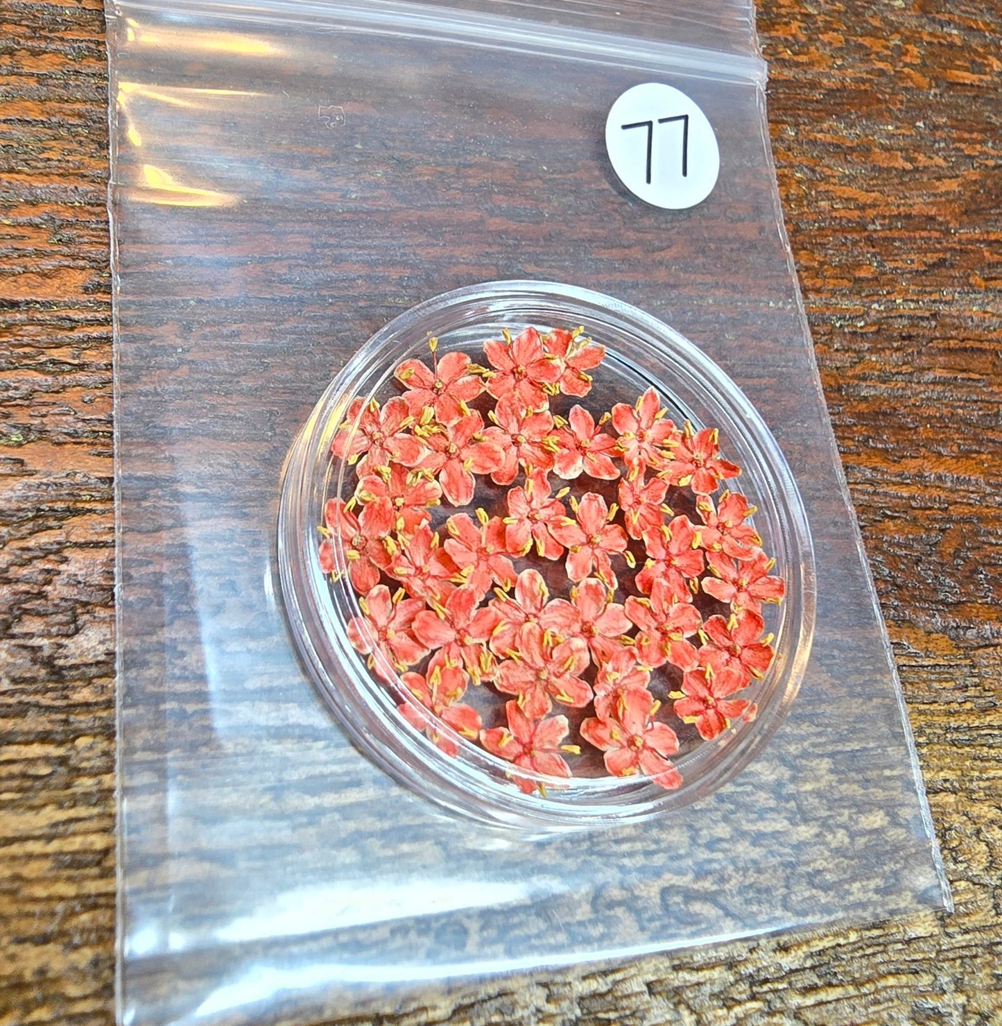 SPECIAL 3D elderflowers