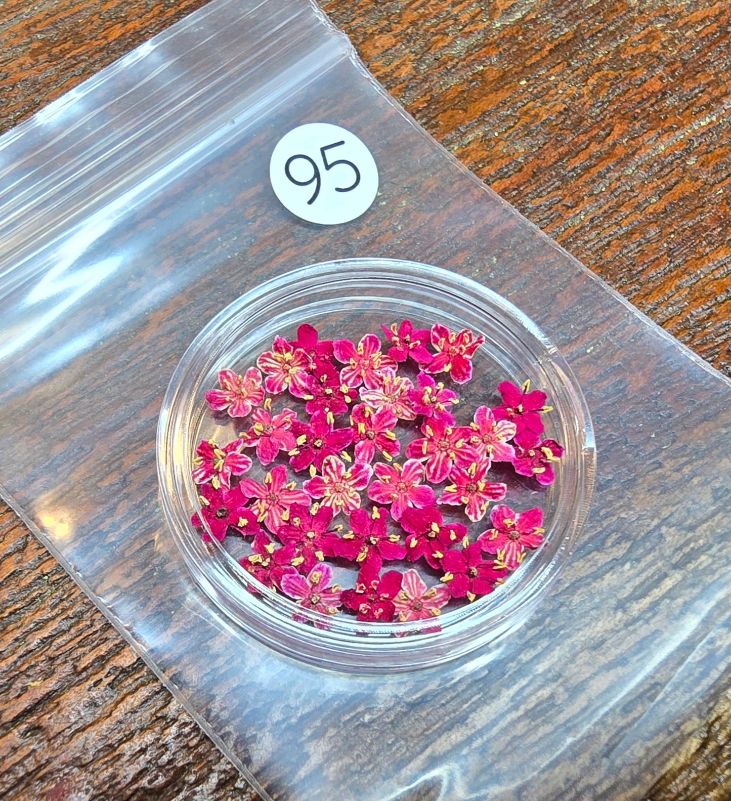 SPECIAL 3D elderflowers